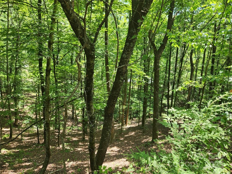 Walnut Ln, Lake Lure, NC 28746