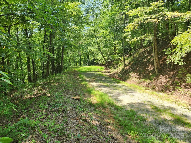 Walnut Ln, Lake Lure, NC 28746