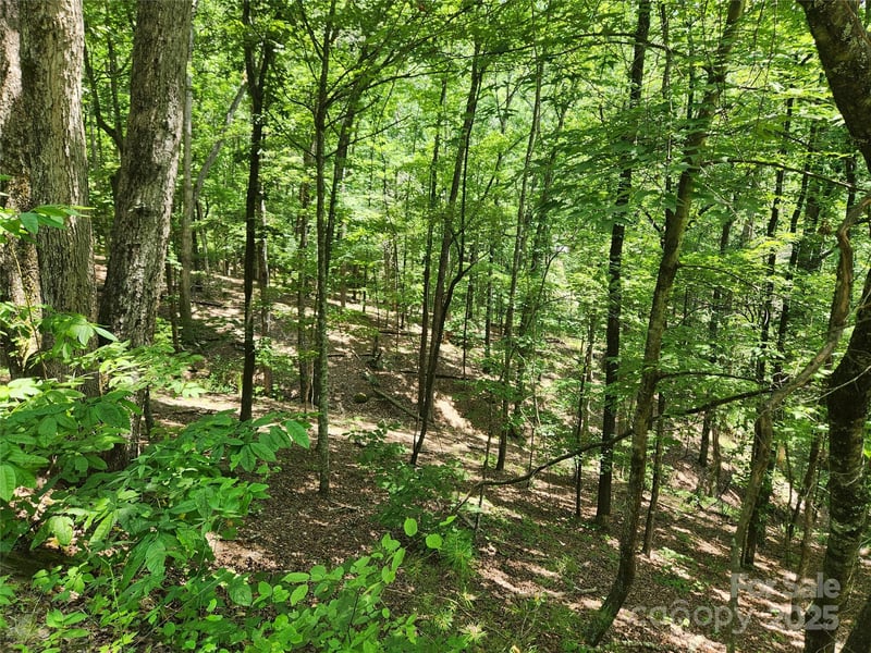 Walnut Ln, Lake Lure, NC 28746