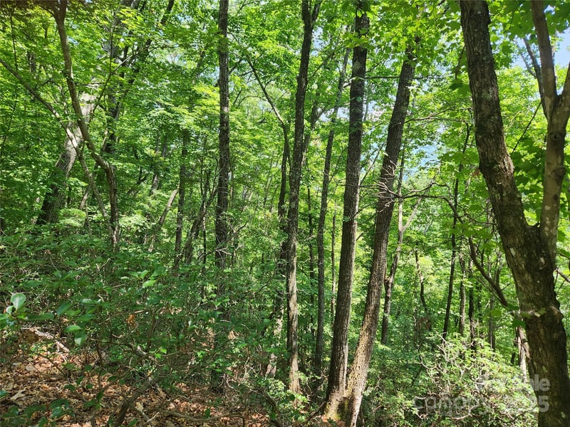 Summit Ct, Lake Lure, NC 28746