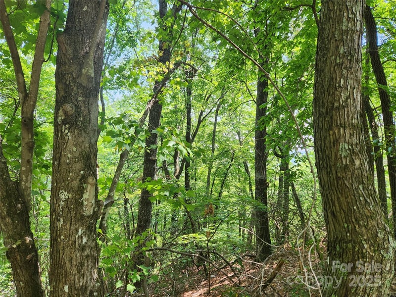 Summit Ct, Lake Lure, NC 28746