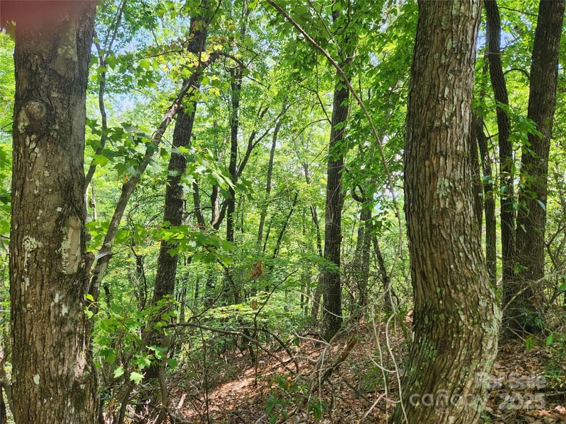 Summit Ct, Lake Lure, NC 28746