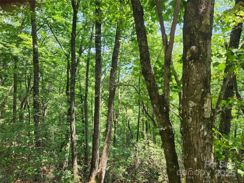 Summit Ct, Lake Lure, NC 28746