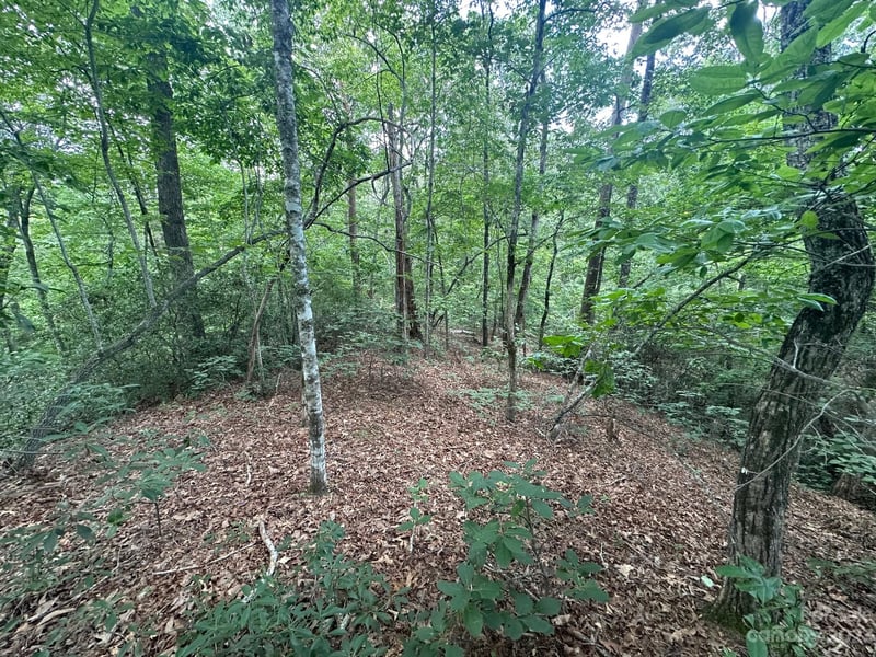 0000 Justice Dr, Lake Lure, NC 28746