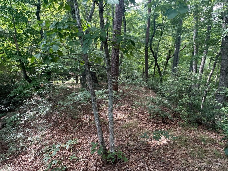 0000 Justice Dr, Lake Lure, NC 28746