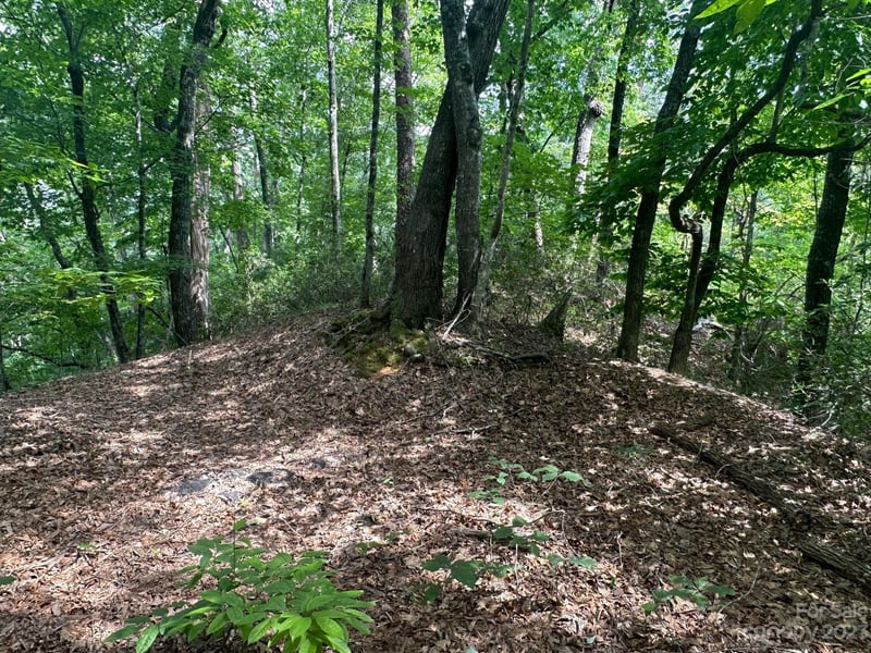 0000 Justice Dr, Lake Lure, NC 28746