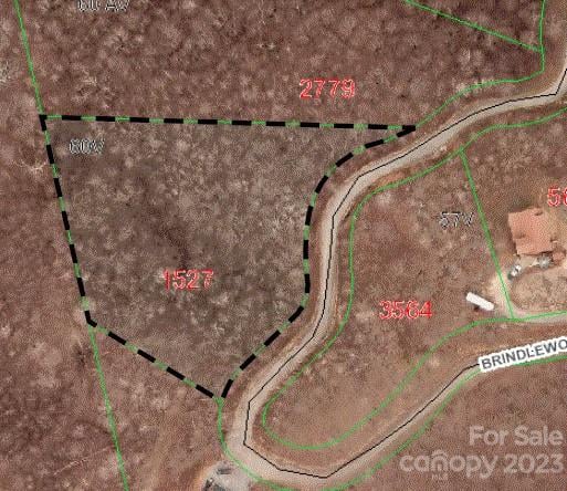 TBD Brindlewood Dr #60V, Nebo, NC 28761