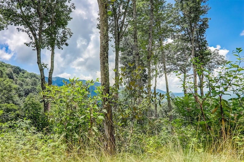 Centurian Ln #26, Maggie Valley, NC 28751