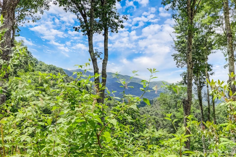 Centurian Ln #26, Maggie Valley, NC 28751