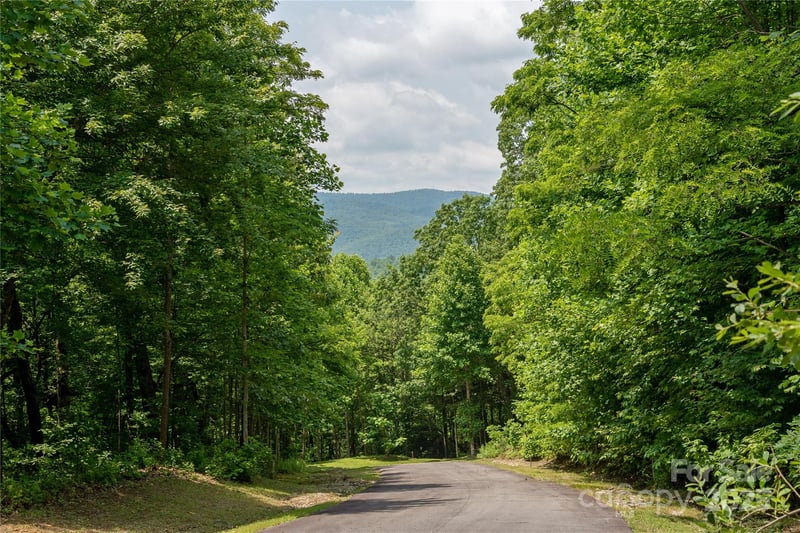 120 Ivywood Ln, Laurel Park, NC 28739