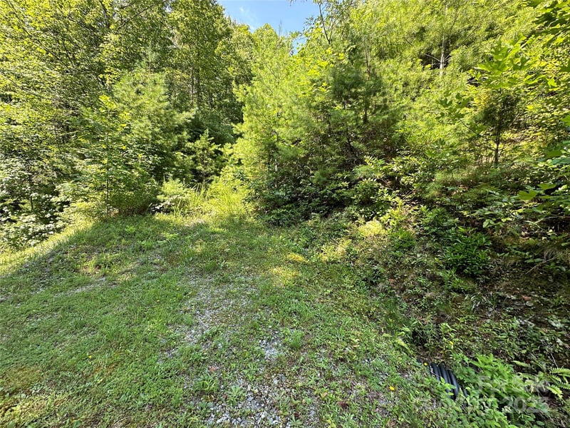 43 Abby Falls Dr #43, Rosman, NC 28772