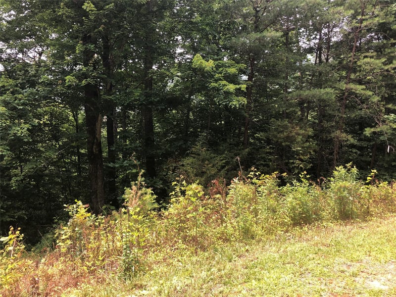 Crossings Dr Lot 5A, Marion, NC 28752