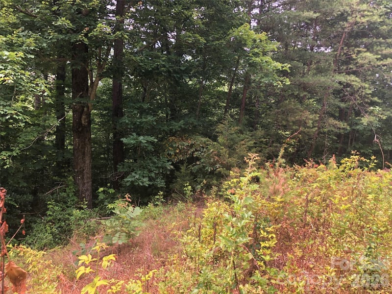 Crossings Dr Lot 5A, Marion, NC 28752