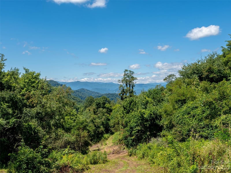 00 Crabtree Mountain Rd, Clyde, NC 28721