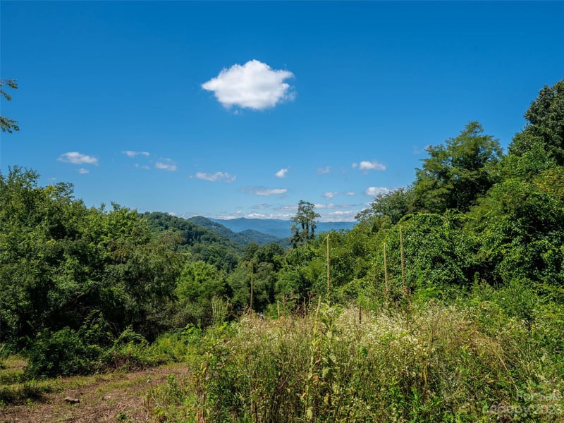 00 Crabtree Mountain Rd, Clyde, NC 28721