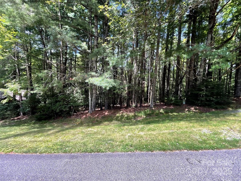 406 Tlvdatsi Dr, Brevard, NC 28712