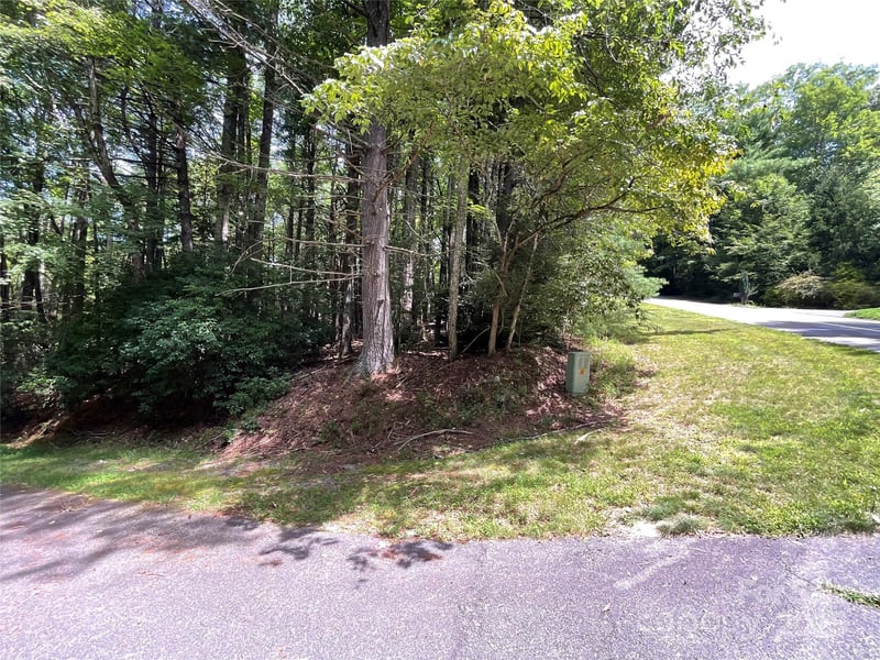 406 Tlvdatsi Dr, Brevard, NC 28712