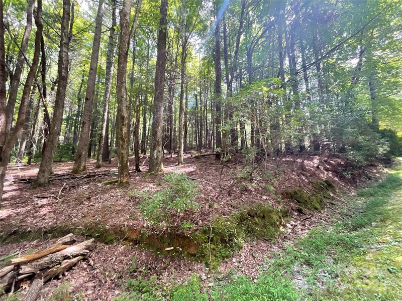 406 Tlvdatsi Dr, Brevard, NC 28712