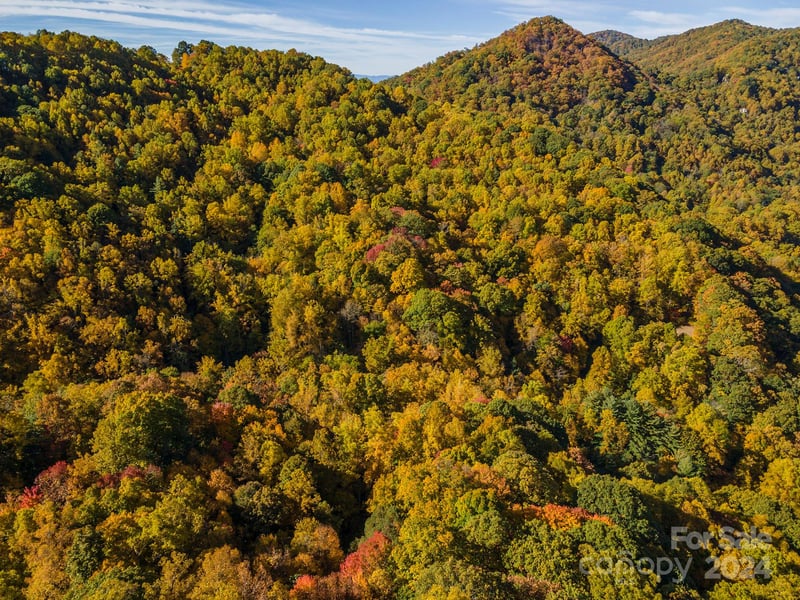 99999 Harwood Rd, Barnardsville, NC 28709