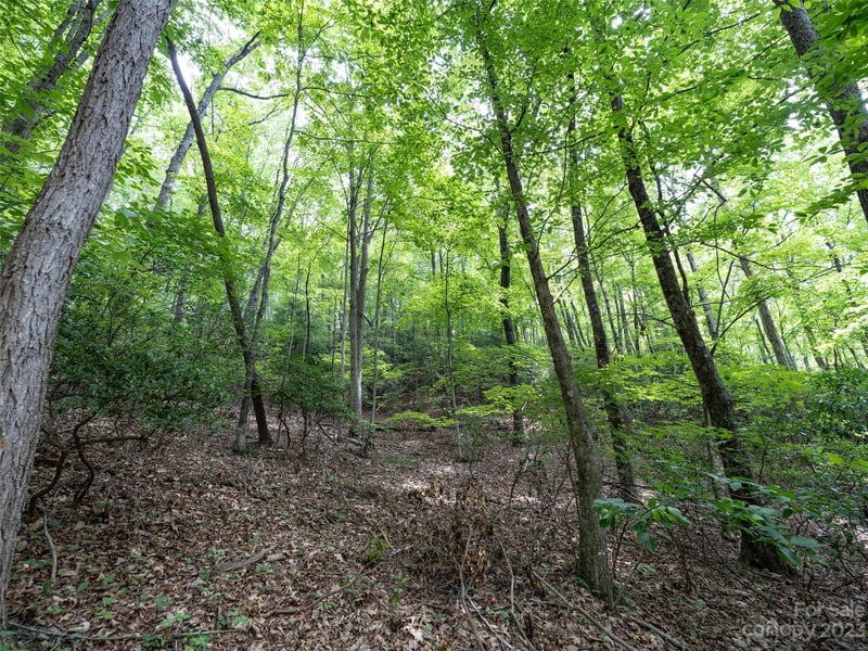 00 Grouse Ridge Rd #1, Waynesville, NC 28786