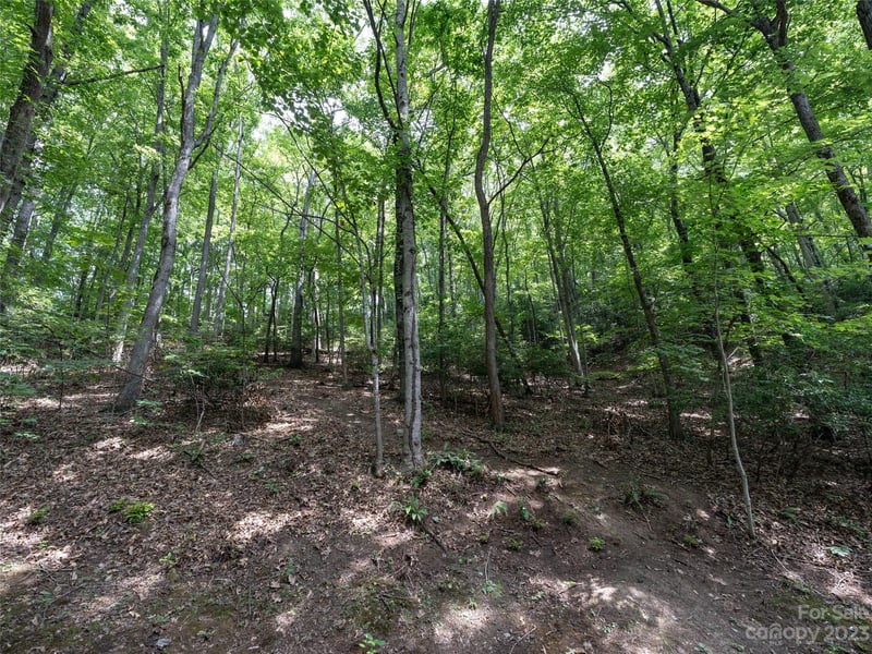 00 Grouse Ridge Rd #1, Waynesville, NC 28786