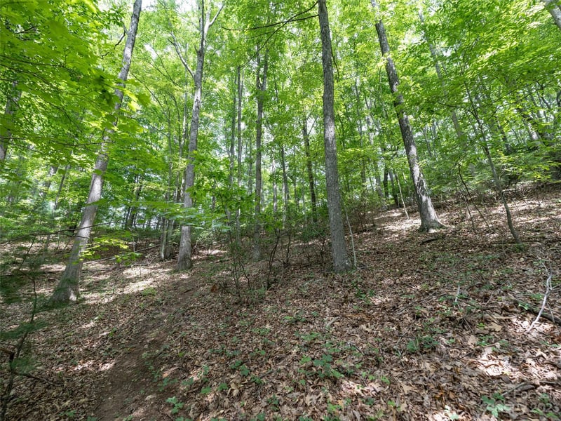 00 Grouse Ridge Rd #1, Waynesville, NC 28786