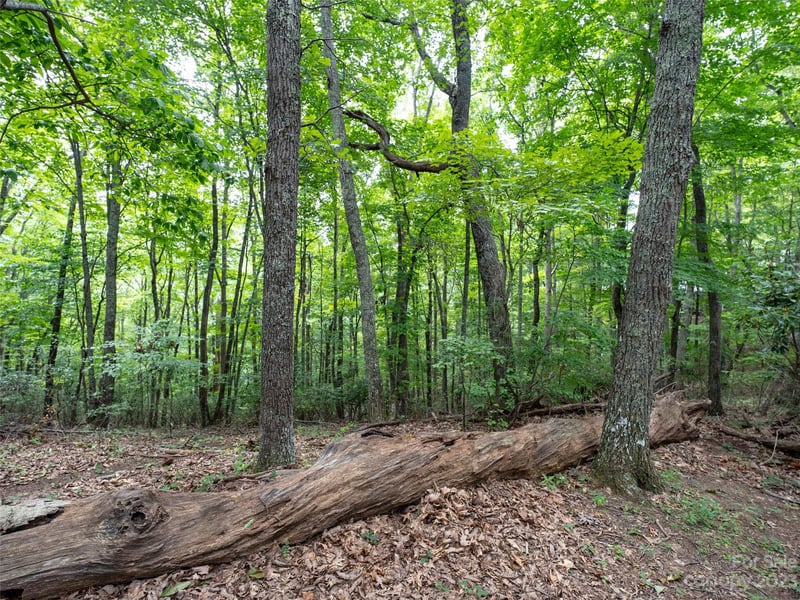 00 Grouse Ridge Rd #2, Waynesville, NC 28786