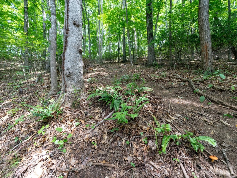 00 Grouse Ridge Rd #2, Waynesville, NC 28786