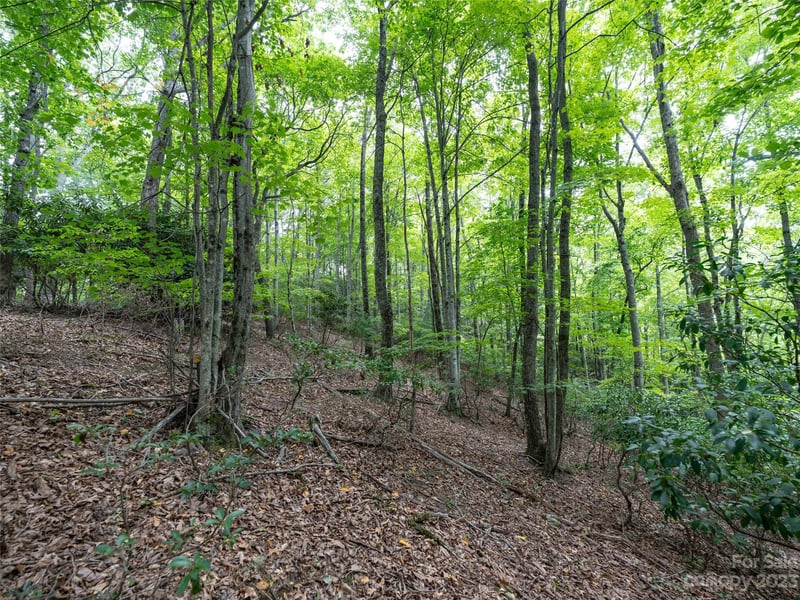 00 Grouse Ridge Rd #2, Waynesville, NC 28786