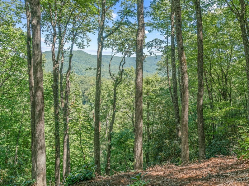 000 Winterstar Loop #59, Burnsville, NC 28714