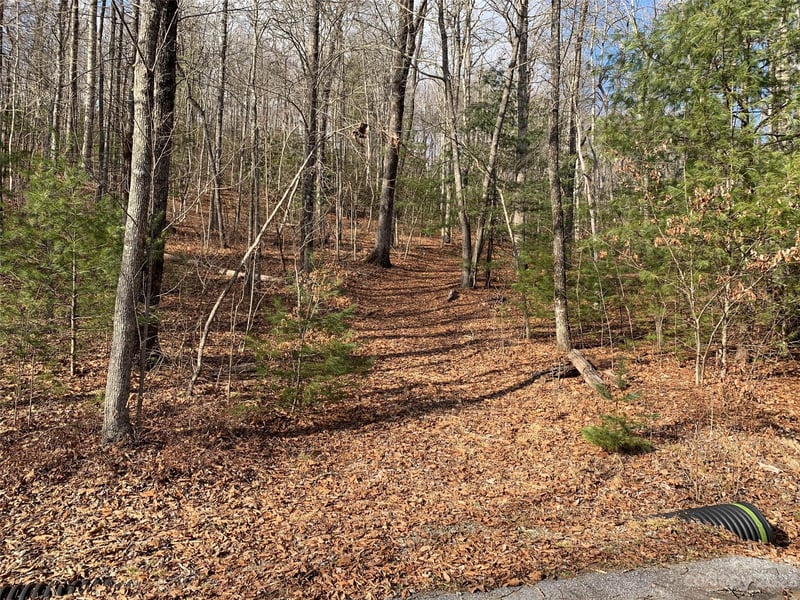 91 Laurel Thicket Ln, Brevard, NC 28712