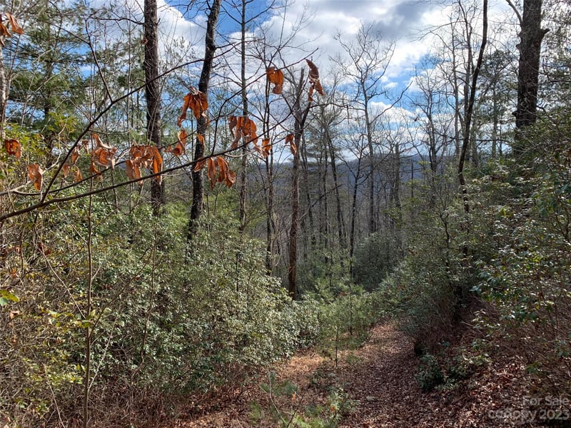 91 Laurel Thicket Ln, Brevard, NC 28712