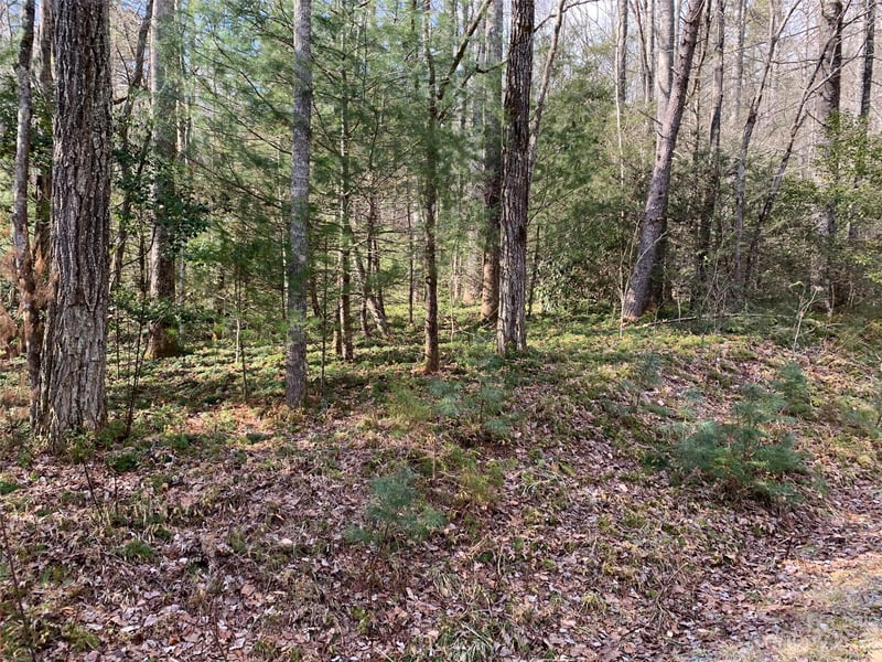 126 Green Hollow Ln, Brevard, NC 28712