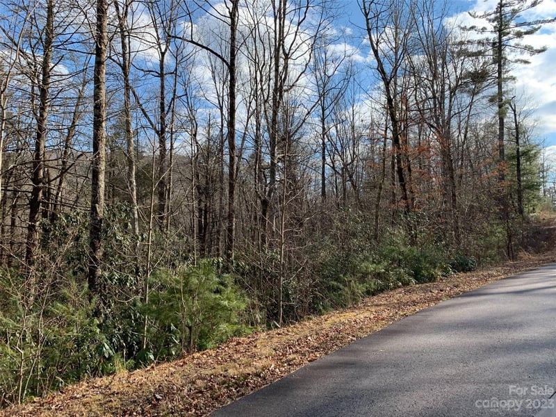 126 Green Hollow Ln, Brevard, NC 28712