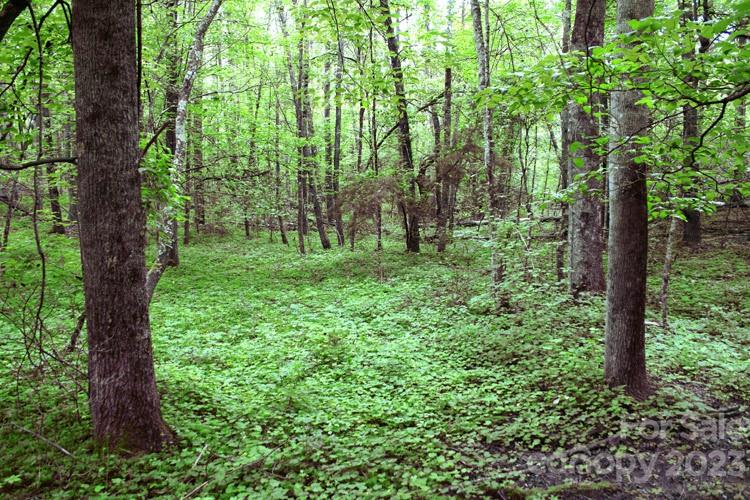 Westridge Dr #88, Lake Lure, NC 28746