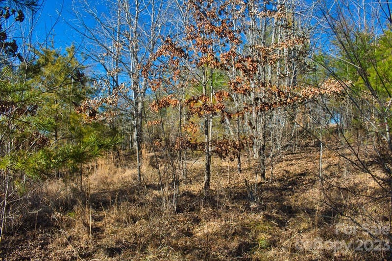 Whitestone Cir #81, Union Mills, NC 28167