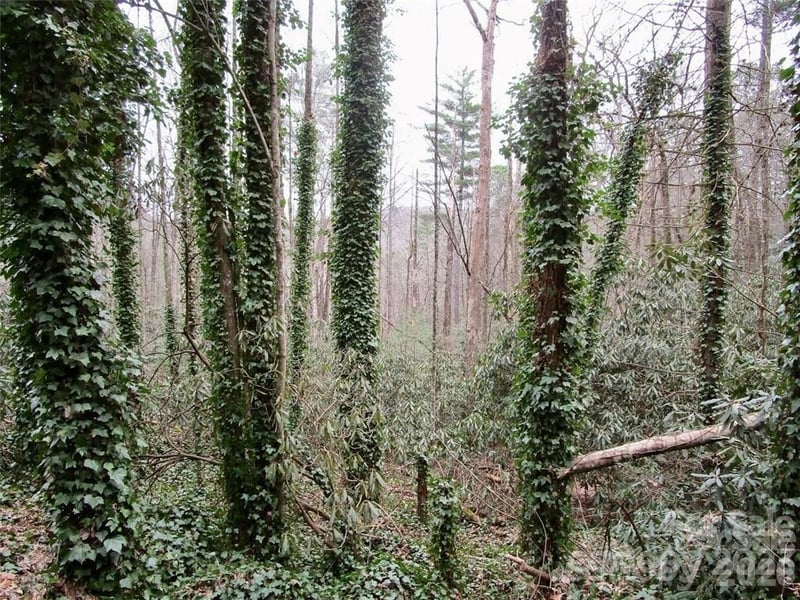 0 Toxaway Falls Dr, Lake Toxaway, NC 28747