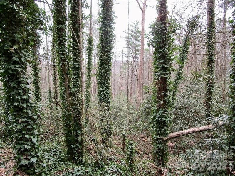 Toxaway Falls Dr, Lake Toxaway, NC 28747