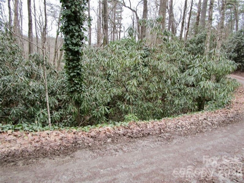 0 Toxaway Falls Dr, Lake Toxaway, NC 28747