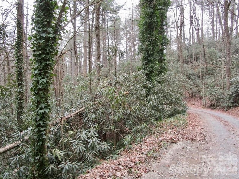 0 Toxaway Falls Dr, Lake Toxaway, NC 28747
