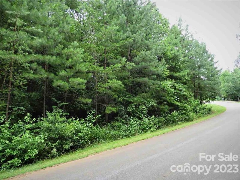 Chisholm Trl #52, Rutherfordton, NC 28139
