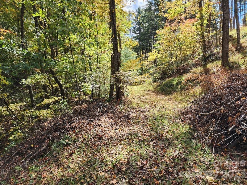 00 Thorncrest Dr #23, Burnsville, NC 28714
