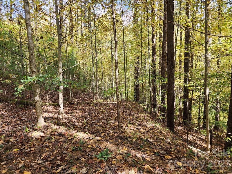 00 Thorncrest Dr #23, Burnsville, NC 28714