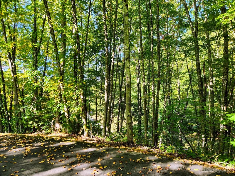 00 Loblolly Way #C7, Maggie Valley, NC 28751