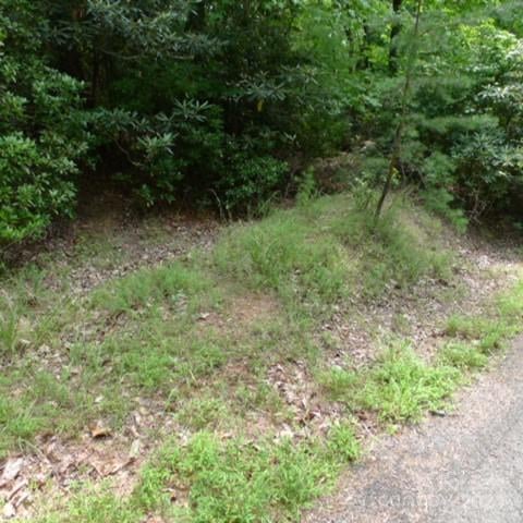 Lot 17 Mountain View Dr #17, Lowgap, NC 27024