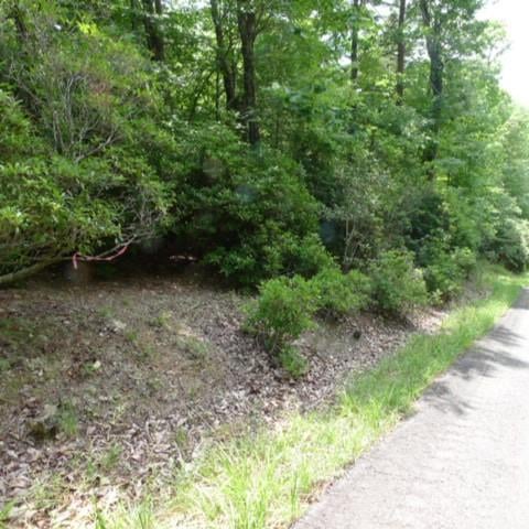 Lot 17 Mountain View Dr #17, Lowgap, NC 27024