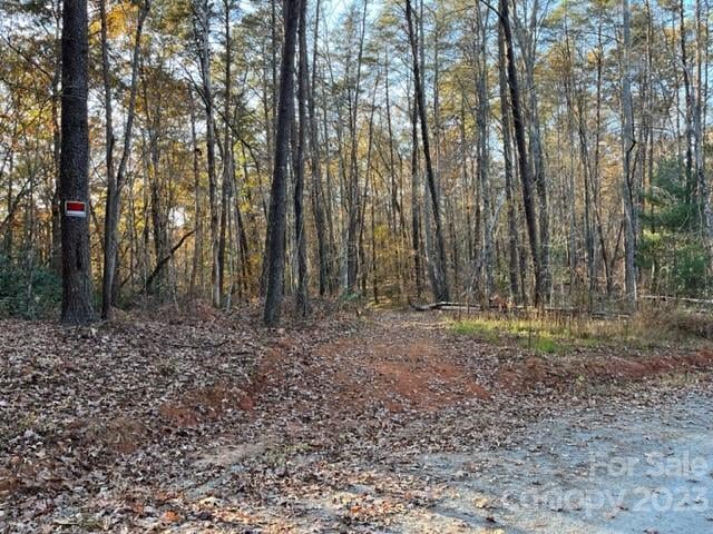 TBD Shady Ln, Mill Spring, NC 28756