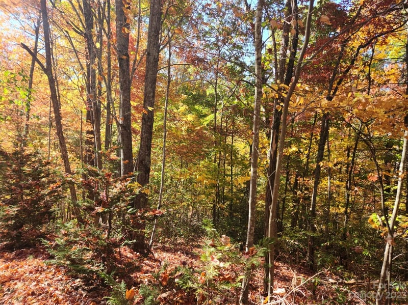 00 Angel Of The Lake Dr #17, Lake Lure, NC 28746