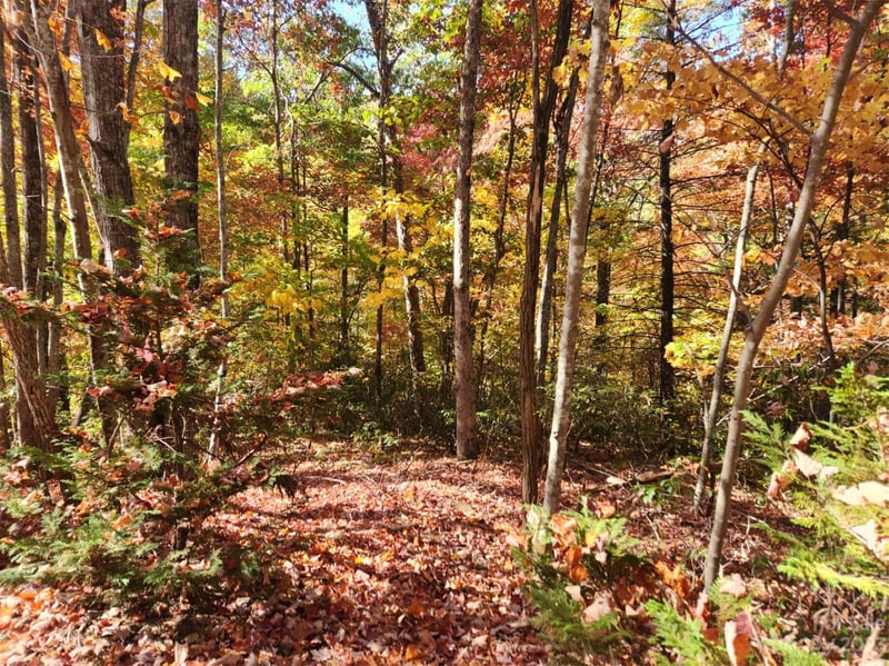 00 Angel Of The Lake Dr #17, Lake Lure, NC 28746
