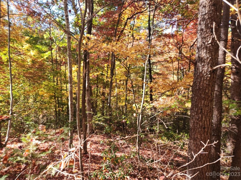 00 Angel Of The Lake Dr #17, Lake Lure, NC 28746